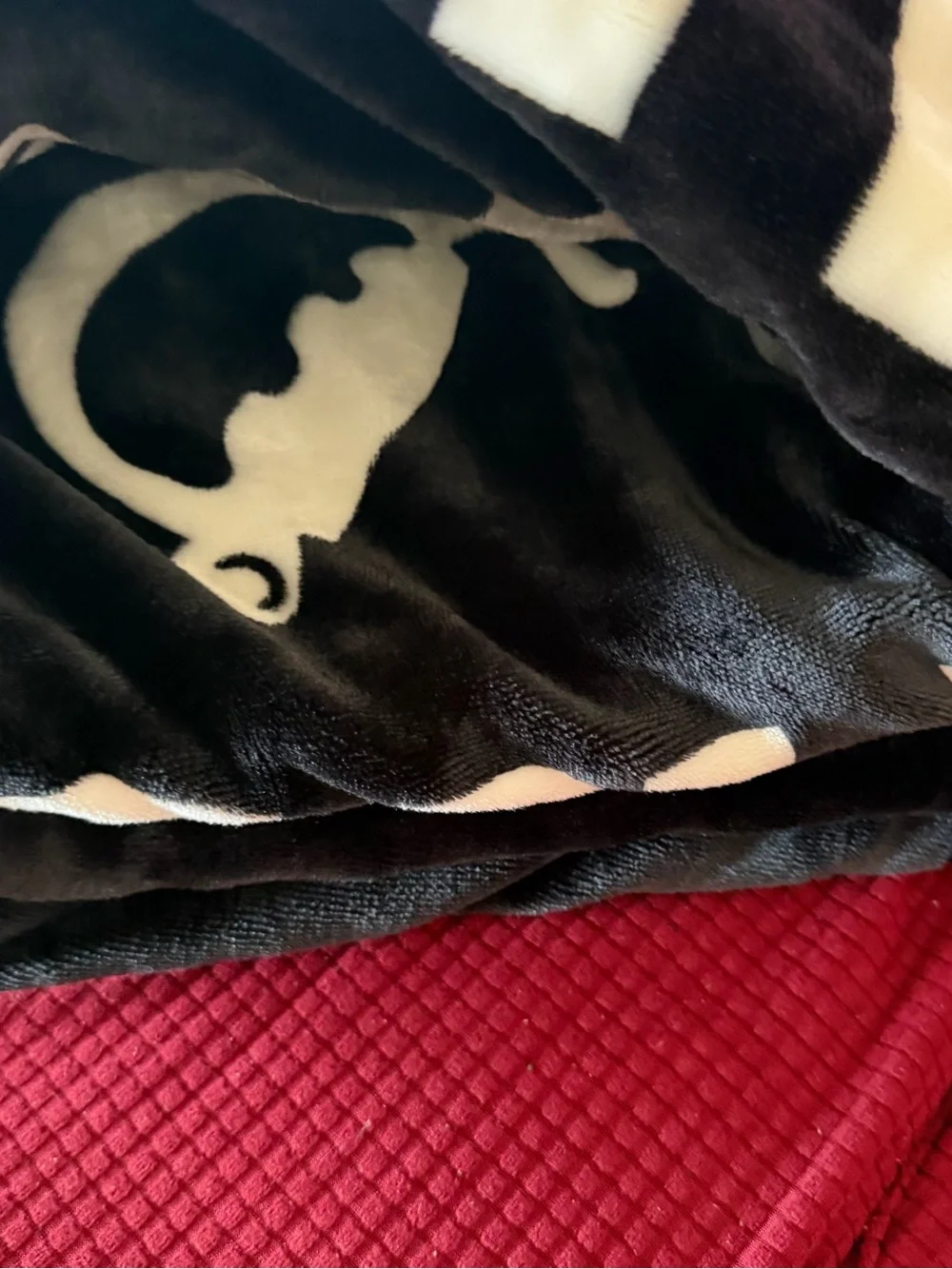 Las Vegas Raiders Black & White Plush Throw Blanket
